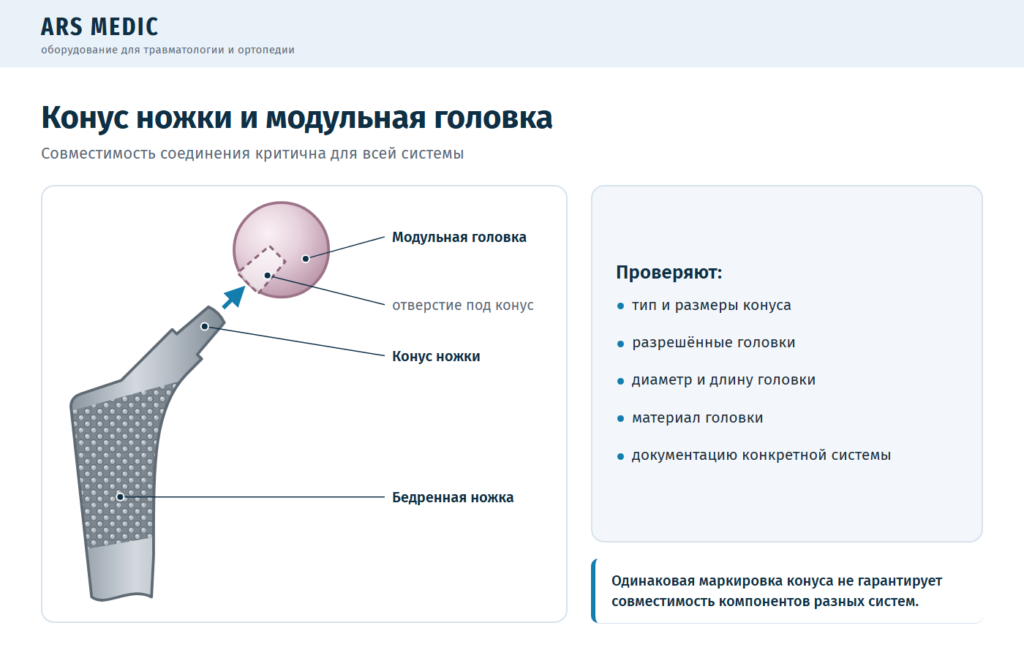 Конус бедренной ножки и модульная головка эндопротеза с отверстием под конус