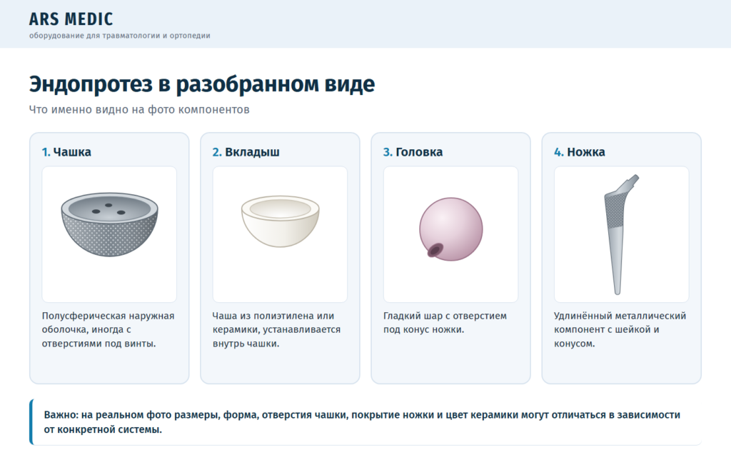 Эндопротез тазобедренного сустава в разобранном виде: чашка, вкладыш, головка и ножка